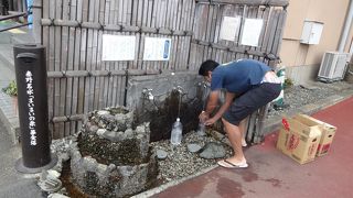 「南公民館」の敷地内にあります