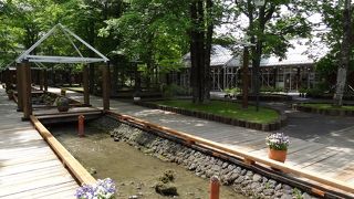 ペイネの原画が展示