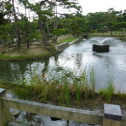 松の木が多い公園だわー