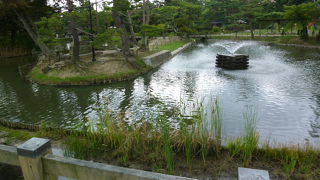松の木が多い公園だわー