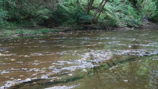 上流域は観光スポットがそこそこあります。