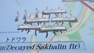 片仮名の標識で理解が難しかった