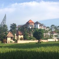 自然いっぱいです