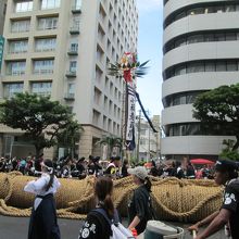 国道58号線、大綱挽はこれから。