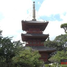 庭の木々の間に見える塔。