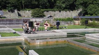 日本庭園でなくてよかった