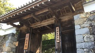 歴史の変遷が興味深いです