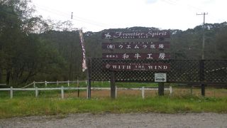 お肉が硬くて…