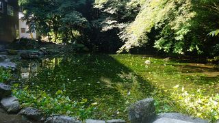 有料エリアの目玉スポットなのでしょうが