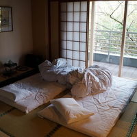 部屋は和洋室、こちらは和室