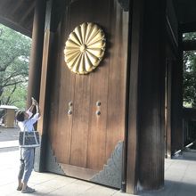 思わず見とれる