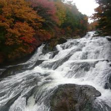 紅葉と滝のコントラスト