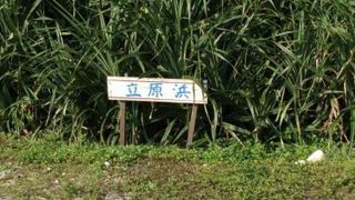 武士家の下にある小さな浜です。