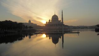 ピンクモスクｗｉｔｈサンライズ♪