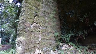 何度通っても楽しい