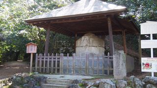 道後公園からすぐ