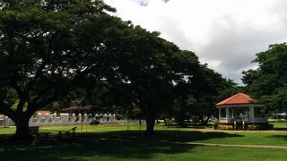 広々とした公園です