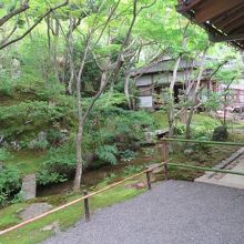 建物の裏手。