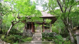 夏でもオススメ