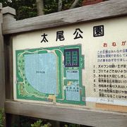 鶴見川沿いにある公園です。ストレッチなどで利用します。