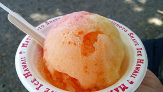 言わずと知れた有名店