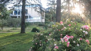 都会のオアシス