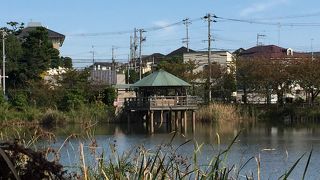 地元の人の憩いの場でもある