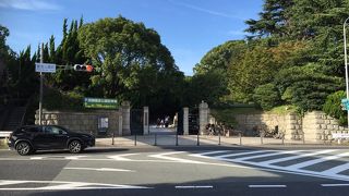 月見の宴 秋バラも盛り