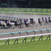 千葉県にあるＪＲＡの競馬症です