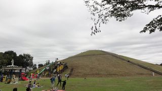 お弁当持って行きたい