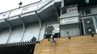 上野駅そば、所々に昔の面影を残す高架橋です
