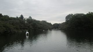 蚊には注意しましょう。