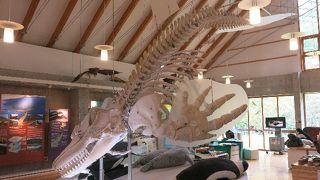 自然あふれる世界遺産