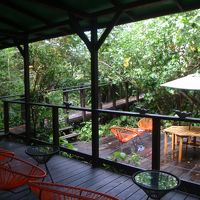 ジャングルブックカフェ。