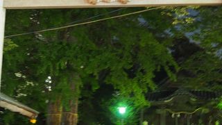 駅前にありながら静か