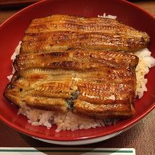 うなぎ丼