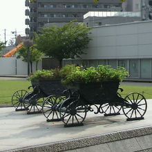 アリオ川口の公園広場の横の馬車には、小さな可憐な花が見えます