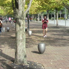 アリオ川口の前の公園広場の横には、樹々の木立と椅子があります