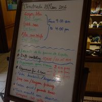 毎日のアクティビティも充実しているようです！