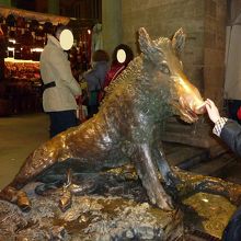 イノシシの鼻はピカピカです