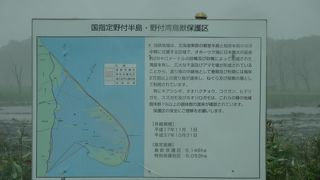 その形が気になって、景勝地を見たいと思い訪れました。