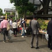 多肉植物もあります。