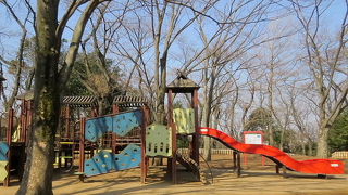 珍鳥キマユムシクイに振られてしまいました。