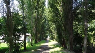 北海道らしい景観