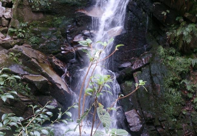 若草山から旧柳生街道へいく