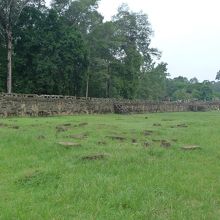 広い野原のような感じです