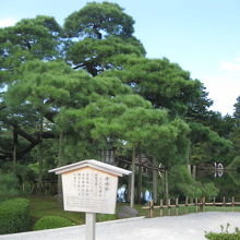 冬に来てみたい