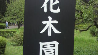 浜離宮恩賜庭園の花木園は、内堀の南側に位置する区域で、各種の花が見られます。