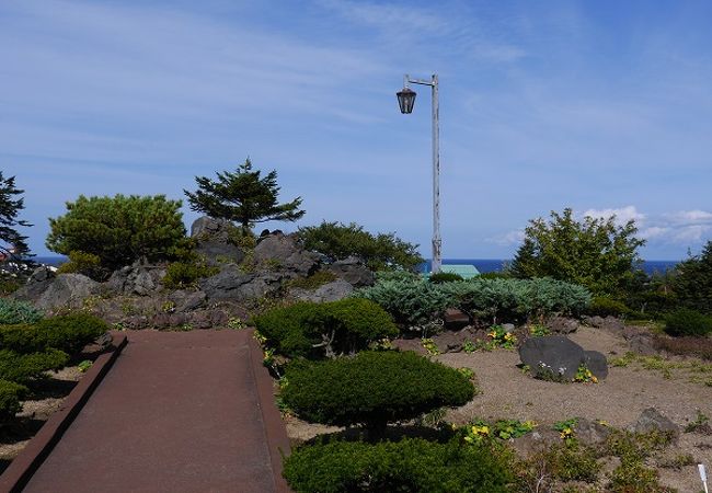 花の時期に訪れよう