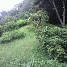 花木園の南側の地域には、小高くなった樹の多い場所があります。